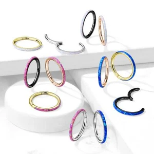 Precision Opal Set Outer Lined All Surgical Steel Hinged Segment Hoop Ring - Picture 1 of 6