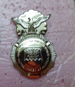USAF STAFF IDENTIFICATION PIN,  SECURITY  SQUADRON, 2.5 INCHES,  - Picture 1 of 1