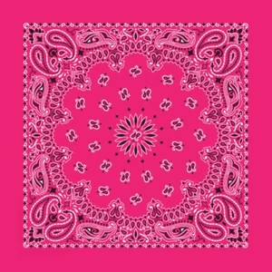 Carolina Creative Bandanna (Hot Pink) Paisley 35" x 35" Hav-A-Hank X-Large - Picture 1 of 1