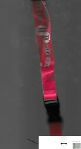 Boston Red Sox New w tags red lanyard Mint MLB key chain flashlight holder RED - Picture 1 of 1