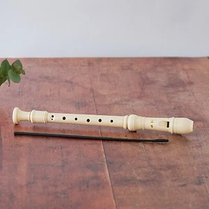 White Descant Recorder Kids Flute Music Instrument 32cm - Picture 1 of 3