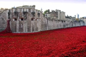 Tower of London poppy Blood Swept Lands and Seas of Red Photograph Print - Picture 1 of 1