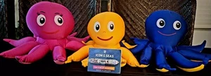 ROYAL CARIBBEAN ICON Of The SEAS Octopus Set + Map INAUGURAL Inky Pinky Binky - Picture 1 of 14
