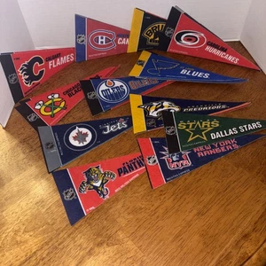 Set Of 27/NHL /Hockey Teams/ Pennants /4" x 9" /see Description - Picture 1 of 5