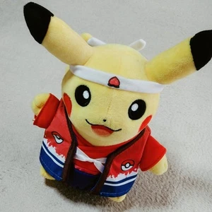 Pokemon Center Okayama Original Momon Fruit I love Pikachu 2017 From Japan Used - Picture 1 of 4