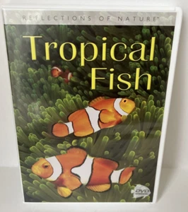 Tropische Fische - Spiegelung der Natur DVD PC Programm Fischbilder und Musik - Bild 1 von 3