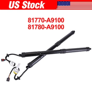 New Left & Right Power Tailgate Lifter Strut for 2015 2016-2021 Kia Sedona 3.3L - Picture 1 of 9