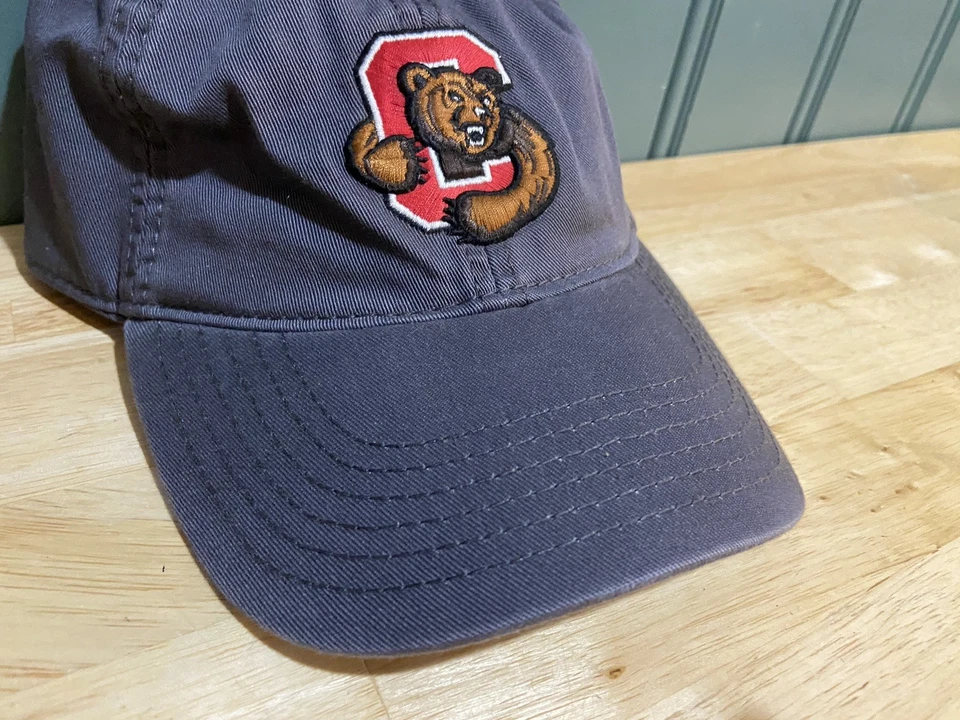 Cornell University Big Red Bear Hat Gray Adjustable  Dad Baseball Cap Ivy Strap - Image 1 of 4