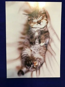 Avanti Greetings Romance Greeting Card "If I had nine lives..."(A33) - Picture 1 of 3