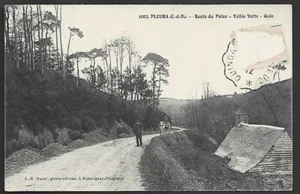CPA  --  PLOUHA . ROUTE DU PALUS. GODO . 498.G - Picture 1 of 1