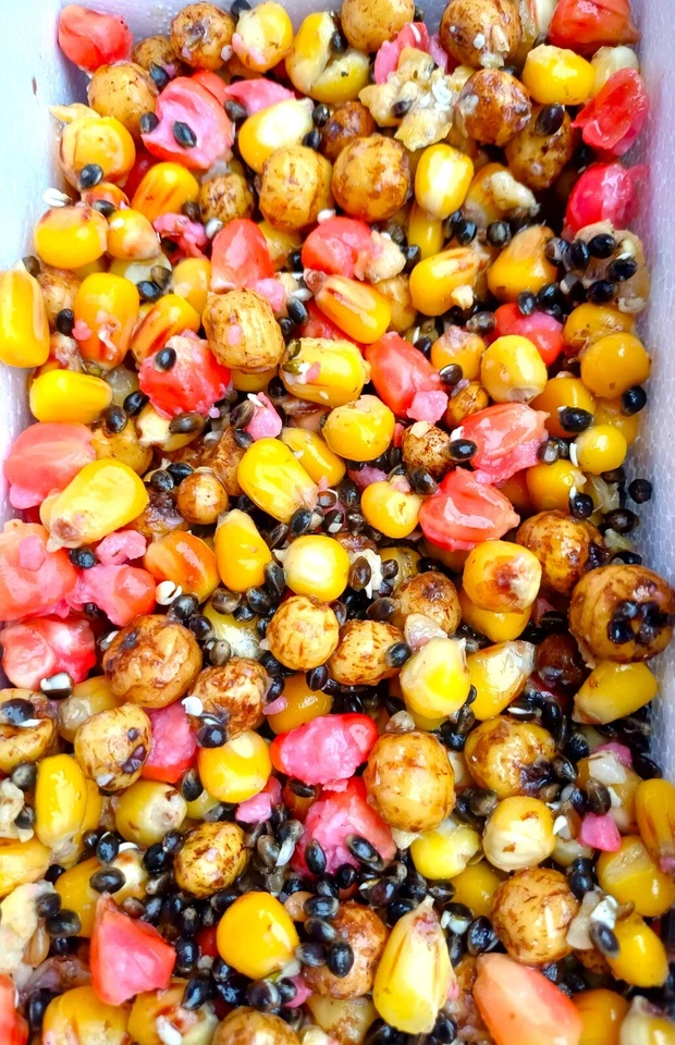 Vorgekochte Partikel Partikel Mix Premium Karpfenfutter Karpfen Lockfutter  1 Kg - Bild 1 von 1