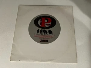 Grand Puba – I Like It (I Wanna Be Where You Are) Vinyl 12" PROMO Elektra 1995 - Picture 1 of 4