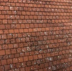 S.M.S. Tejas de terracota preclimadas LX418, corte Lazer calibre OO/HO - Imagen 1 de 1