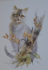 Peter Abrahams, Cat, Cute Cat with Flowers.