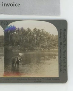 Elephants Bathing in Tropical Stream Ceylon Keystone Stereoview - Picture 1 of 2