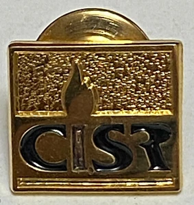 1/10 10K GF CISR Certified Insurance Service Representative Lapel Pin Tie Tack  - Picture 1 of 4