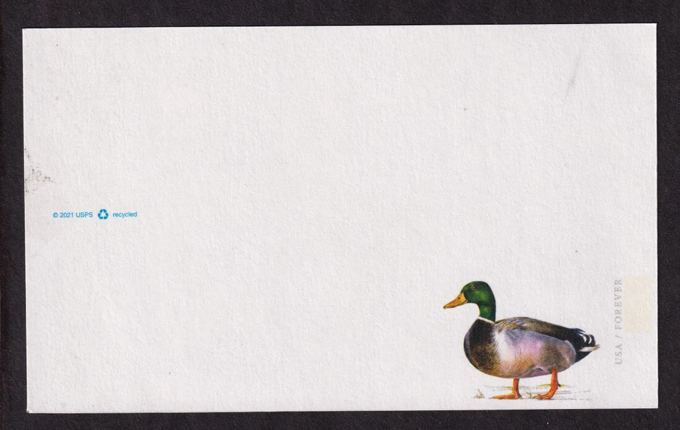 2021 Mallard stamped Postal Card Sc UX648 Mis-cut postal card from sheet (T2 - Image 1 of 1