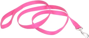 Coastal 6' Leash NPK/306 Bright Pink NWT! - Picture 1 of 2
