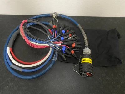 Whirlwind 24x8 W3 Split Snake XLR, 10', 2 Available, See Listing. - Image 1 of 4