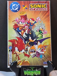 DC X SONIC THE HEDGEHOG #3 CUBIERTA UN CÓMIC CASI NUEVO PRIMERA IMPRESIÓN 2025 DC PABLO M COLLAR - Imagen 1 de 1