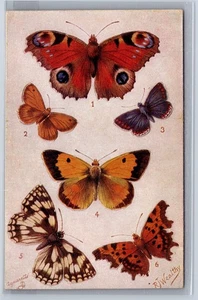 AK Tuck & Son Oilette Neuheit Schmetterlinge am Flügel ausstanzen 2BB12 - Bild 1 von 3