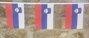 Slowenien Flagge Wimpelkette - 6m mit 20 Fahnen - Bild 1 von 4