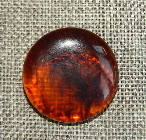 Antique Vtg Bakelite Button Faux Tortoise Shell~Aprx: 1-1/4"~#428 Cover