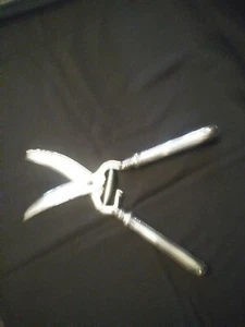 Tiffany and Co Olympian Sterling Handle Poultry Shears 11 1/4"  - Picture 1 of 9