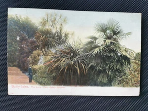CPA Scilly Isles - The Long Walk - Abbey Gardens - Imagen 1 de 2