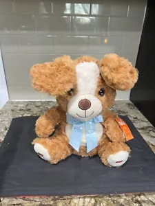 Toymazing Peek-A-Boo Oso Marrón Peluche Cantor Oreja Aleta 13” Nuevo con Etiquetas Funciona - Imagen 1 de 6