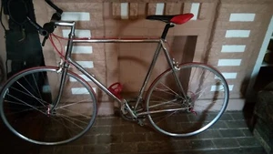 Raleigh Sport Single Speed. Fully Custom - Picture 1 of 4