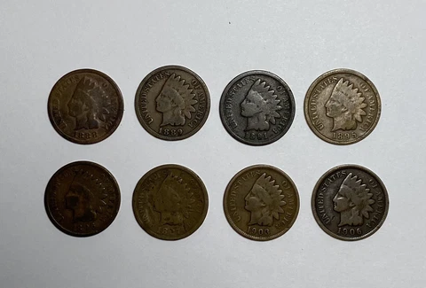 Lot Of 8  Indian Head Cents Pennies 1888 1889 1891 1895 1896 1897 1903 1906 Cover