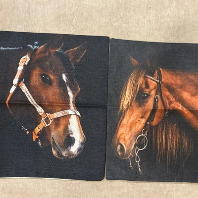 Juego de 2 almohadas Brown Horse Toss Foto 1 de 4