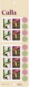 Canadá sc#3323a Flor: Cala - Blanco y Rosa, Folleto Bk785, Como Nuevo-Nuevo - Imagen 1 de 3