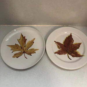 Lote de 2 platos de almuerzo de hojas de hoja de terracota/ensalada blanca hechos en Italia - Imagen 1 de 10