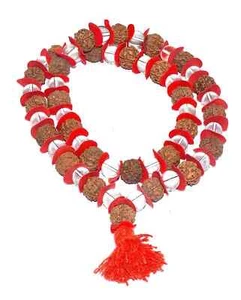 5 Mukhi Big Beads Nepali Rudraksha and Sphatik Kantha Mala with 54 Beads 15mm - Picture 1 of 3