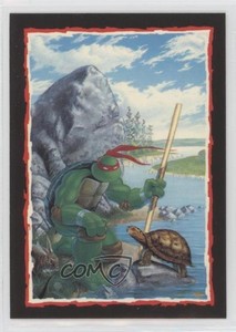 1989 Topps Teenage Mutant Ninja Turtles Complete Collector's Edition #U 13u8