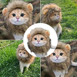 Pets Hat Cat Wig Lion Mane Costume Cosplay Kitten Dog Hat With Ears Fancy Party - Picture 1 of 12