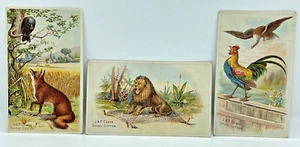 3 Vintage J & P Coats Victorian Trade Cards Six Cord Thread Spool Cotton  - Picture 1 of 8
