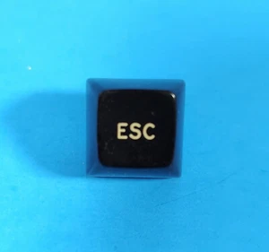 Genuine DEC VT100 terminal keyboard keycap - "Esc" replacement key - HTF - Picture 1 of 1