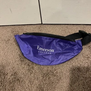 Emerson College borsa vita bianca viola cintura borsa a tracolla confezione fanny - Foto 1 di 3