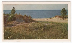 Vintage American Oil Company Promo INDIAN DUNES Unused Postcard - Picture 1 of 2
