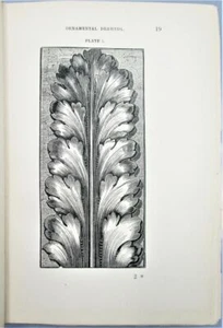 ANLEITUNG ZUM ZEICHNEN DES ACANTHUS, von I Page - 1886 botanische Zierdesigns - Bild 1 von 12