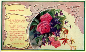 Antique Postcard - Language of Flowers, Rose = Love, Violets = I am True - Picture 1 of 2