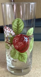 Portmeirion Pomona 16 Oz 6 1/4” Glassware Tumbler Hoary Morning Apple MINT - Picture 1 of 4