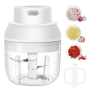 Electric Mini Vegetable Chopper, 2 in 1 Food Chopper with Eggbeater, Garlic C... - Picture 1 of 8