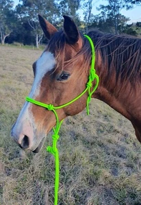 Stiff Rope Horse Halter / 2 knott or 4 knott AUSSIE MADE - Natural Horsemanship - Picture 1 of 14
