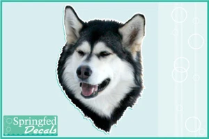 ALASKAN MALAMUTE Head Vinyl Decal Car Truck Dog Sticker - Picture 1 of 1
