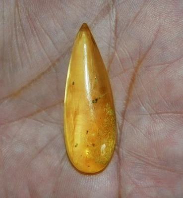 18.40 Cts. Natural Genuine Old Baltic Amber Untreated Certified Gemstone - Image 1 of 4