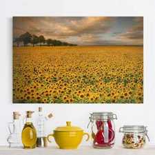 QUADRO MODERNO PAESAGGIO GIRASOLI 160X120CM